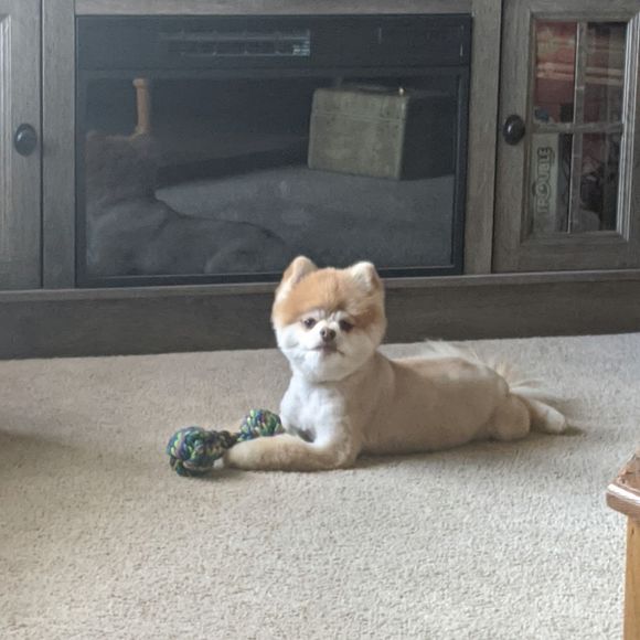 kimberlynelon